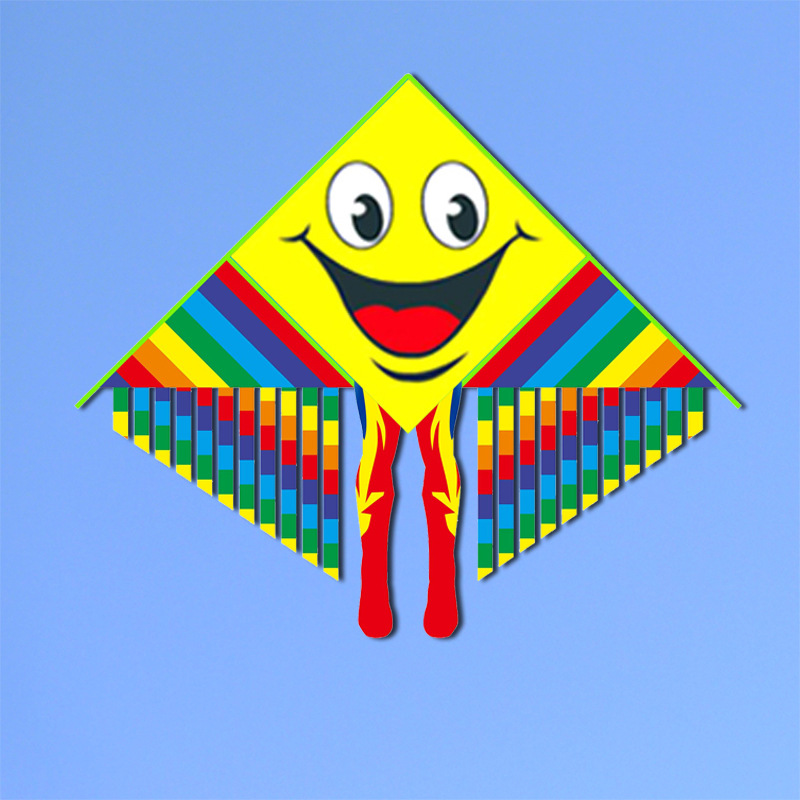Wenjiang kite wholesale Sheng'en Hongyun Paradise Bird cartoon children full-body multi-tailed princess street stall toy kite