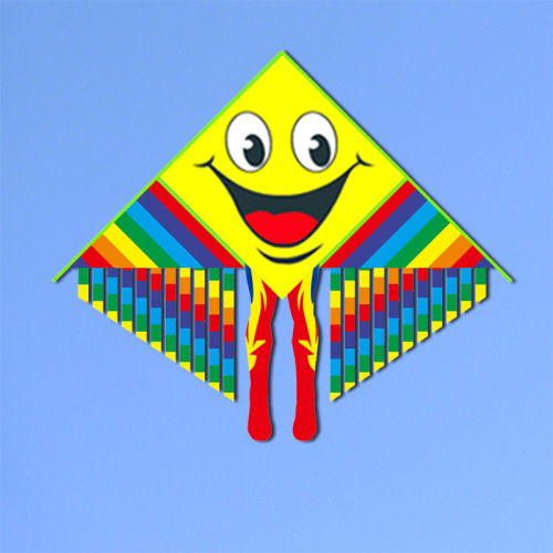 Wenjiang kite wholesale Sheng'en Hongyun Paradise Bird cartoon children full-body multi-tailed princess street stall toy kite
