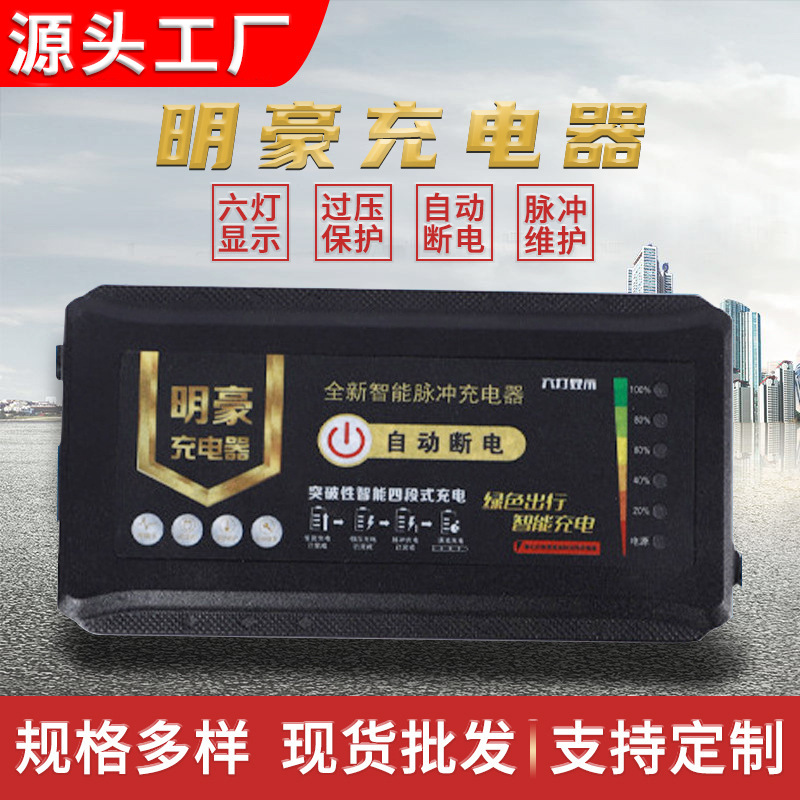 电瓶车充电器24v48v60v72v六灯显示电动车充电器通用型