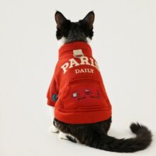 ��؈����؈؈����b�����l�¹����·������ۃ��_��̩�ϱ���С��Ȯ