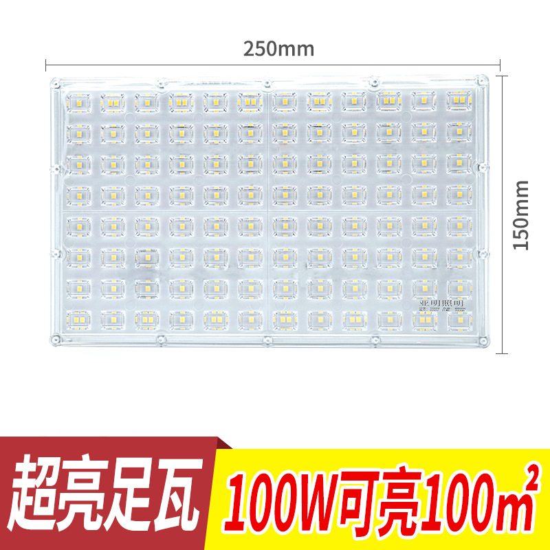 Yaming ant floodlight 100W