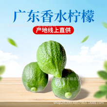 ���a��ֱ�l���V�|��ˮ����һ���������r�̲��5��10��ֱ�_����