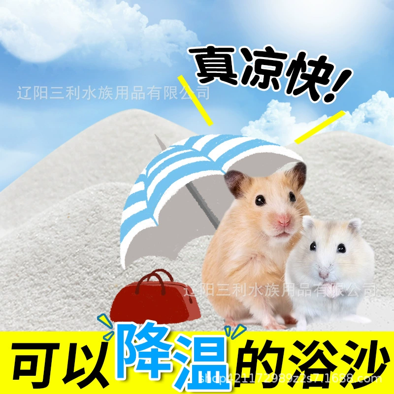 Маленький хомяк купается в песке, купается в песке