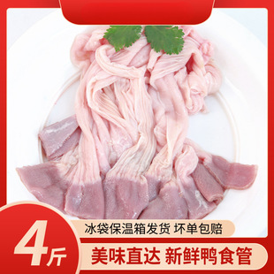 ���r��ʳ��4���b��S���]�������ʳ����������θ���c