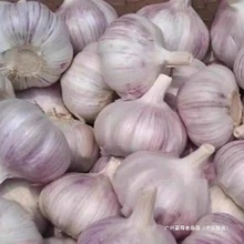 2025�¸ɴ����^�N�����r�߲˽�5�N�Ӵ������Ƥ�����2�������l