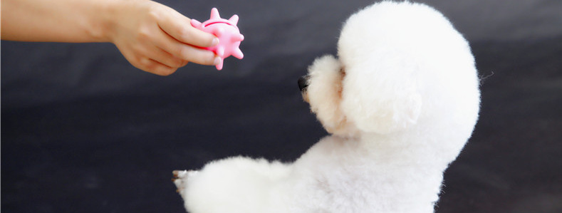 O1CN01BMTjYR27HdAiwZzPS_!!962497772-0-cib.jpg?__r__=1713344844908