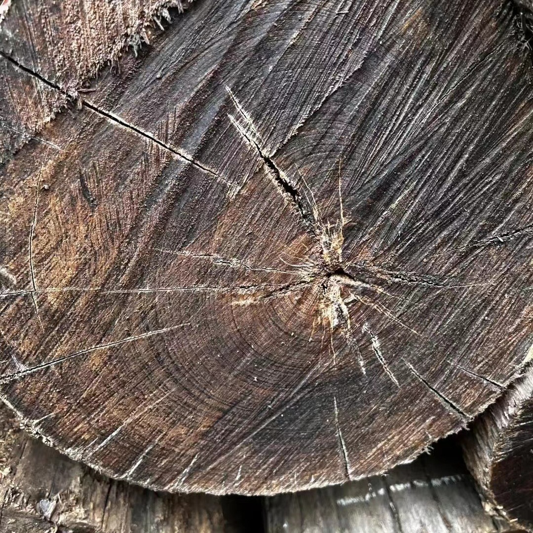 缅甸鸡翅原木 适用于家具 室内装修 古建筑 防腐木 园林木