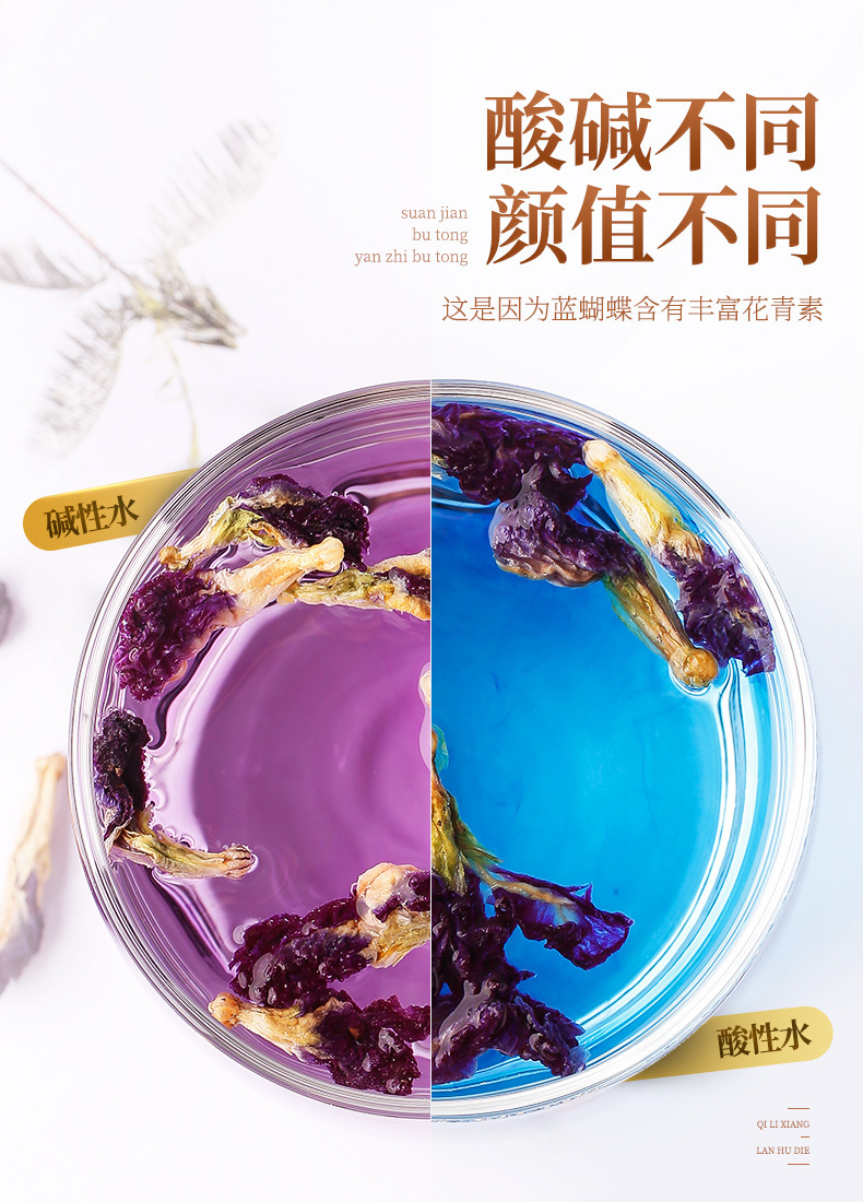 Blue Butterfly Pea Flower Tea Dried Butterfly Pea Flowers for Herbal Tea and Drinks 30g Bottle in use