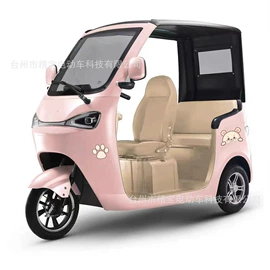 其他电动车;电动三轮车;其他非机动车
