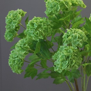 3�^ľ���� �ָ��z�����֦ѩ�򻨻�c·���廨�Ҿ��bٻ�����