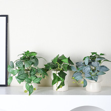 ����GֲС���Լٻ����滨�[�O�k���������b[������ֲ��[��