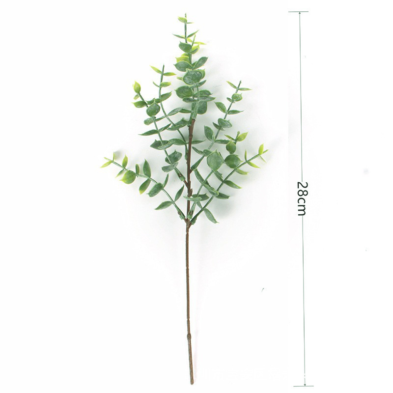 서리 녹색 유칼립투스 28cm