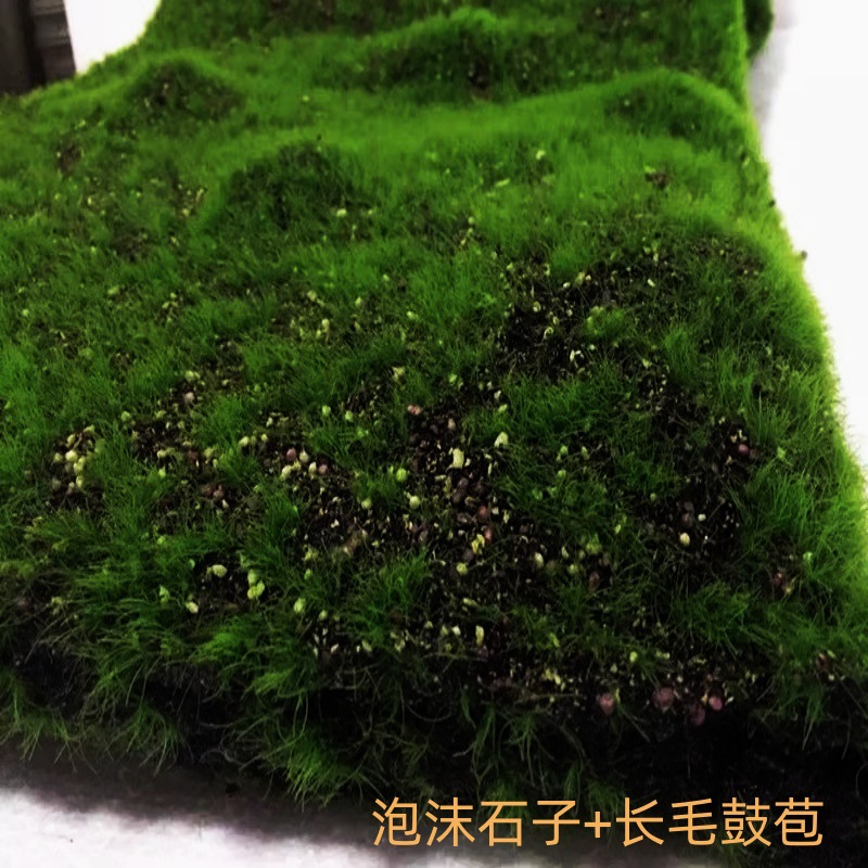 仿真永生苔藓青苔植绒毛 盆景植物墙配材草坪墙底部景观墙壁装饰