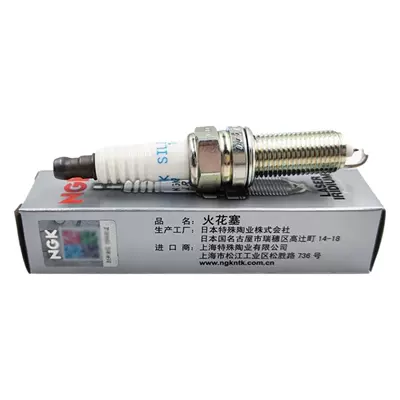 Leading Rena 1.6, Alışdırma şamı (Sveçalar)