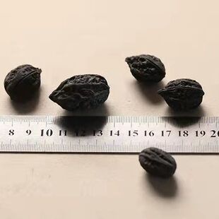 ���l���̼��ľ̿����̿����̿����̿�ϙ�̿���t��茣��̼�o��̿