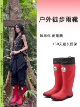 ͽѥZɽЬŮWtˮЬˮsѥӳ