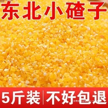 小碴子东北玉米渣大碴玉米碎棒子碴苞米茬子玉米糁玉米粥散装