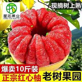 广西红心蜜柚正宗三红柚新鲜水果现摘带箱10斤整箱批发包邮3/5斤