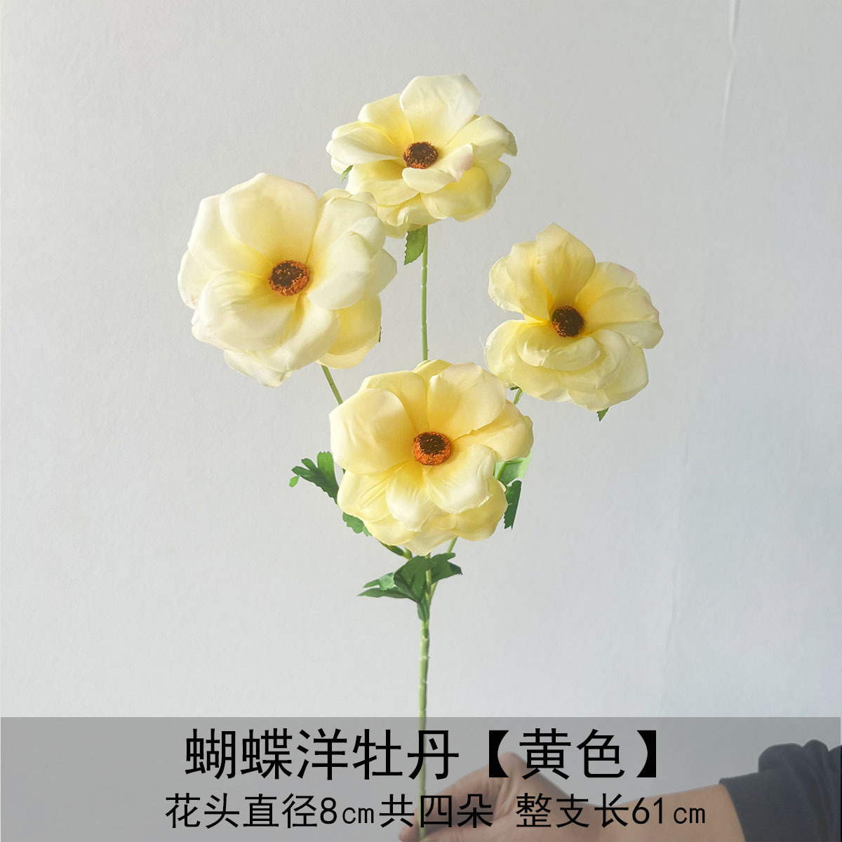 나비 라넌큘러스 - 옐로우