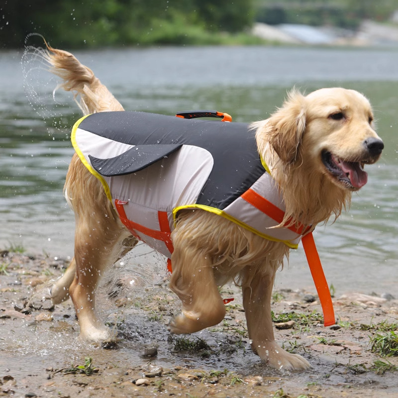 Perro chaleco salvavidas verano perro Corgi Golden Retriever ropa Shiba Inu Labrador traje de baño verano ropa flotante
