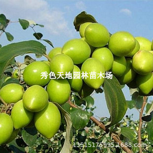 ̨������������ţ�̗��ش�޽ӹ������ϱ����Nֲ����Լt���ӹ���