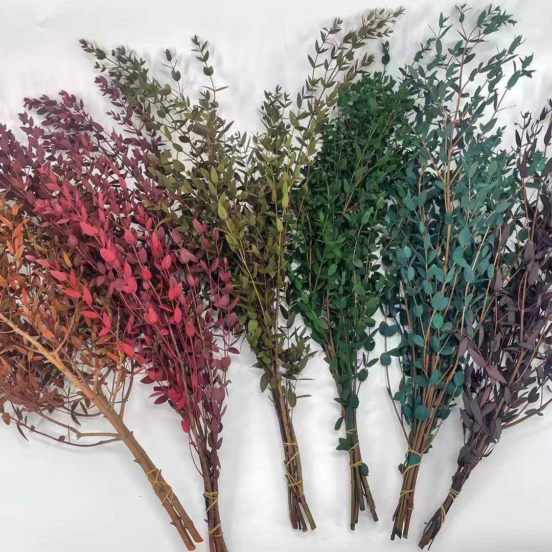 永生细叶尤加利干花插花叶美叶手工花束配材花材批不凋谢插花材料