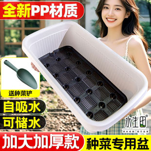 �Ԅ���ˮ�̨�N������˼Ӻ�����ش�̖�҃Ȳ�ݮ�L���ηN�ˌ�����