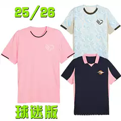 Serie B 25/26 Palermo Jersey Home Away Third Away Soccer Shirt Fan Version Palermo Jersey