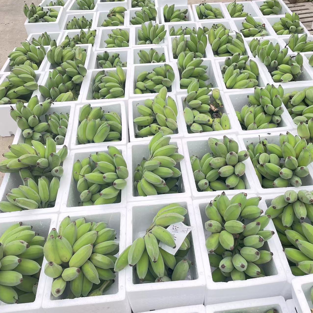 微信图片_20230512101830