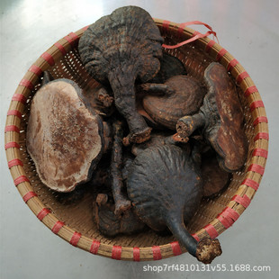 ɭ��֮��Ұ��������֥���`֥�R���`֥�����`֥Ұ���`֥���l500g