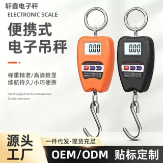 源头工厂便携式电子吊秤200kg吊钩秤工业吊磅外贸跨境批发代发支