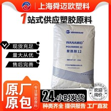 PA12 �f�A L1000 L2000 L3000 �׳��� �ͻ��W�� �͵͜�  ͸����