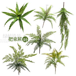 _ְ WinsGֲާֲ廨Ҿbյ