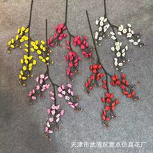 ����3��÷���D÷�L֦��ʽ÷���t÷��c�����͏d�[���b��滨