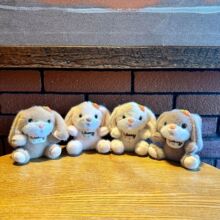 �F؛��ͨ�}������ë�q��ߒ���}�����}����耳׿��Θ���ץ���ޙC