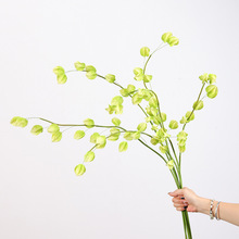 羳洹\\֦cҾӲ廨ˇٻbl