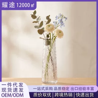 跨境热卖轻奢高级感玻璃花瓶客厅装饰摆件简约装饰花瓶现货批发
