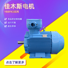 佳木斯电机YBBPX3系列高效率隔爆型变频调速三相异步电动机
