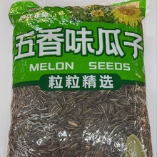 ϻهϿ ɢbԭζͶζӿ 10