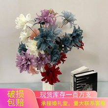 �������滨���^���m����c��Y�ò廨�Ҿ��bGֲ���ٻ��Ĕz����