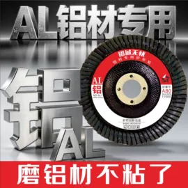 页轮、页片;磨片、切割片
