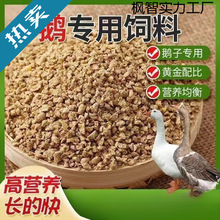 53543434鹅饲料喂鹅小鹅开口肉鹅育肥颗粒全价料养殖场