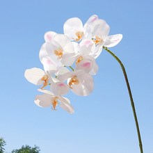 7�^�󻨺����m3dӡˢ���z�޷��滨�ٻ� �ҾӔ[��ܛ�b��c�zӰ�b�