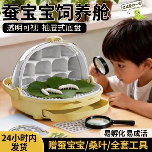 �Q����̫��œ���w���x���꼉С�W���B�Q�ײ͹������rɣ�~�^���Q��