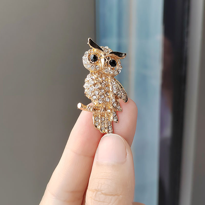 IMG_20230522_093846 拷贝