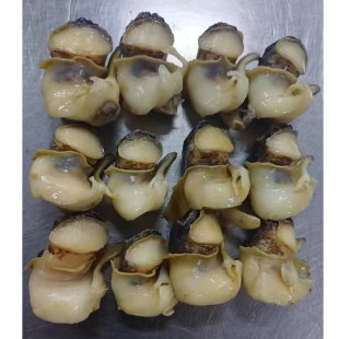 ī�����M�ڼ������������15kg���l���� �����Ǻ����^�⼃�ɟo��