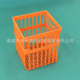 可配41所蛋托用42枚种蛋筐图片大种蛋筐塑料种蛋箱