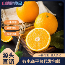 南非橙子新鲜5斤包邮脐橙夏橙大果奶茶店甜橙当季水果一件代发