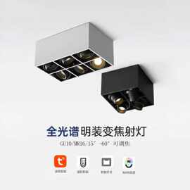 明装射灯客厅正方形无主灯可调角度格栅灯调焦智能调光吸顶斗胆灯