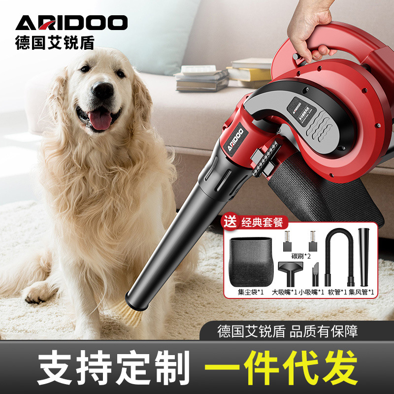 Hair dryer high-power dust removal small blower vehicle-mounted ash blower 220v powerful industrial vacuum cleaner